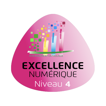 Label Excellence Numérique